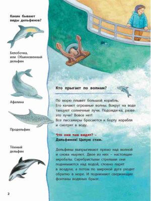 дельфинчик-и-его-морские-соседи-познавательные-истории-1