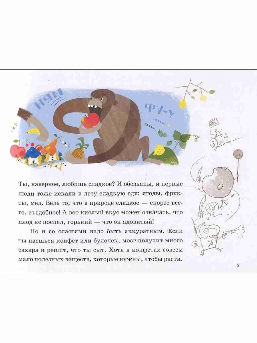 илья-колмановский-как-груша-попадает-в-мозг-5