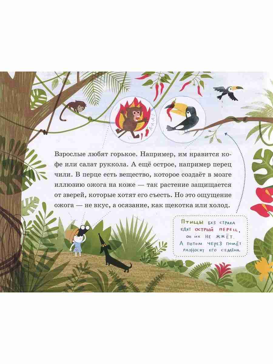 ilja-kolmanovskij-kak-grusha-popadaet-v-mozg-6