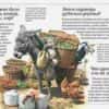 tejlor-bparker-s-i-dr-chto-zachem-i-pochemu-entsiklopedija-dlja-ljuboznatelnyh-18