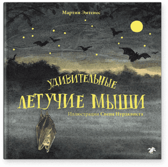 udivitelnye-letuchiemyshi-0