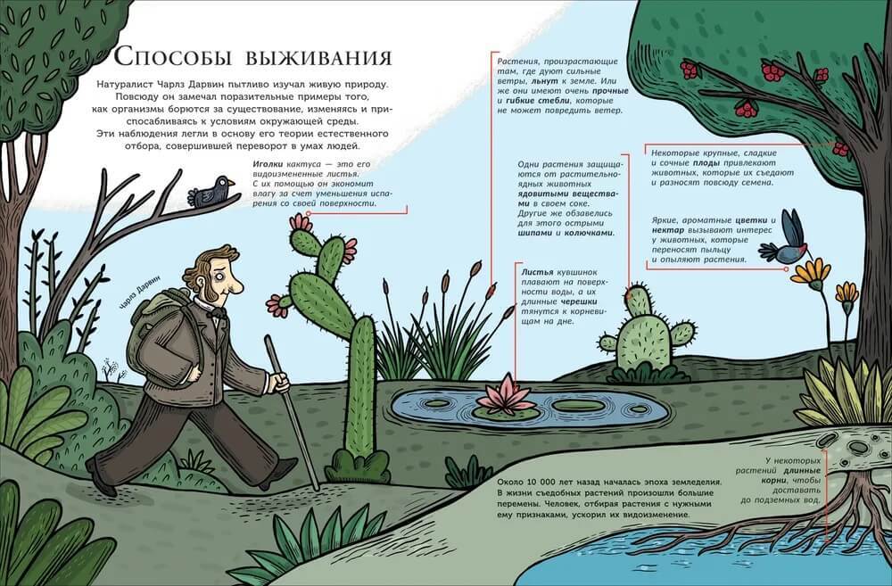 Тайная жизнь съедобных растений — 365 Книг