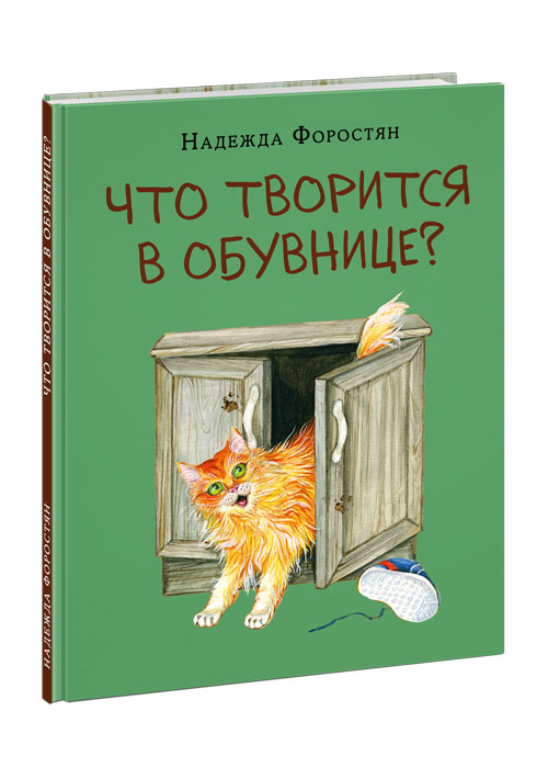 Что творится в обувнице?