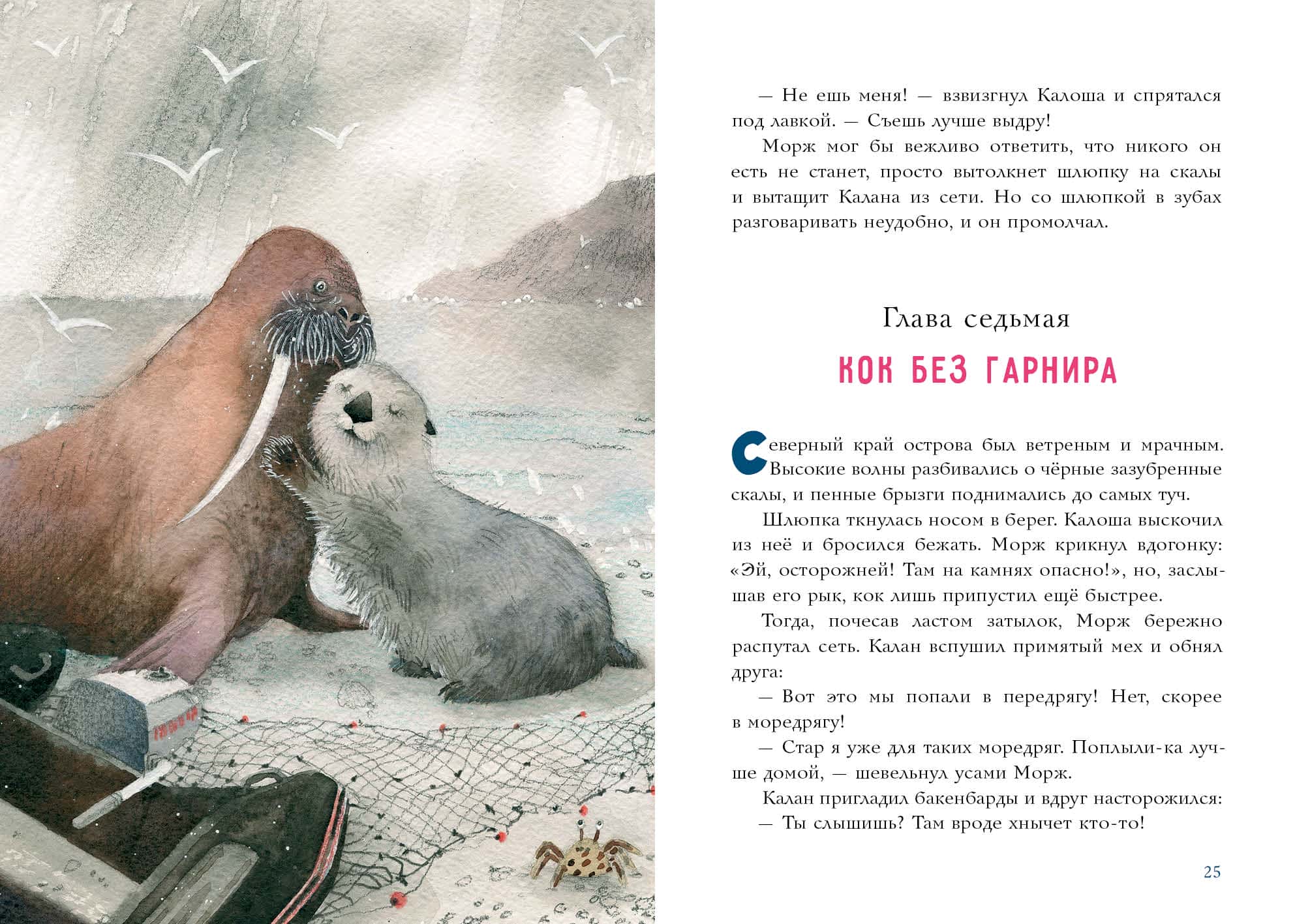 Калан, звезда и кок Калоша — изображение 8