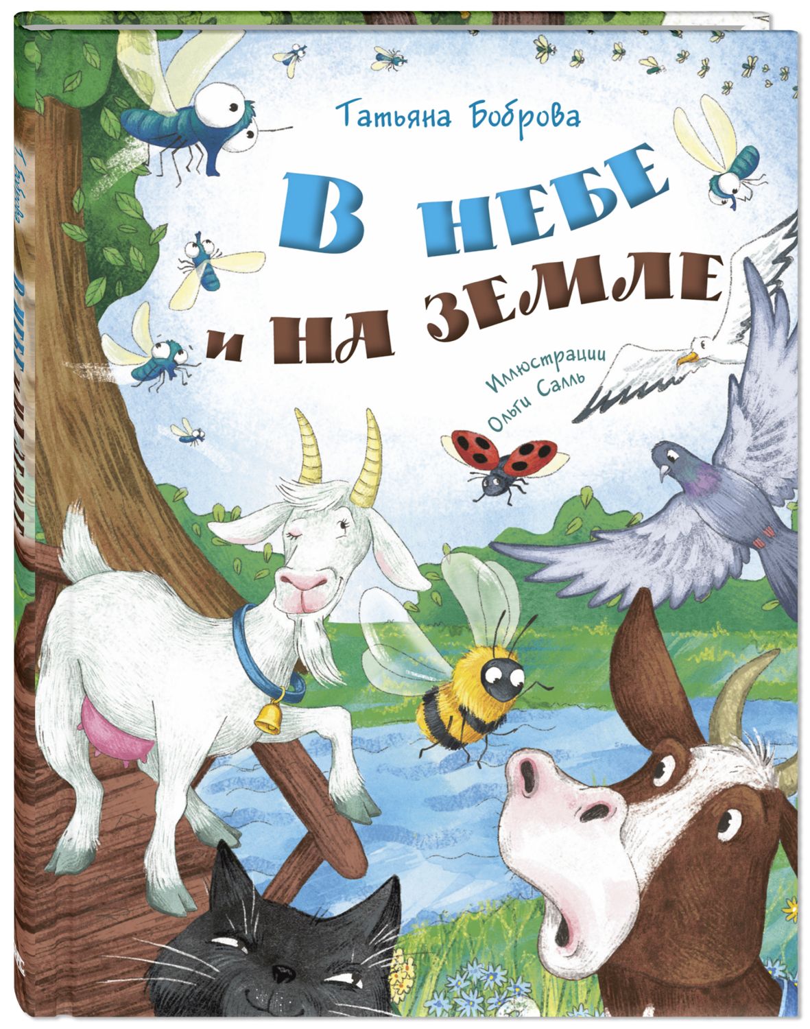 В небе и на земле